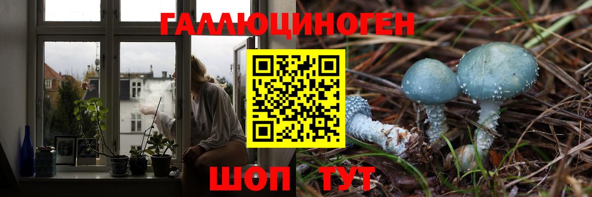 Кудымкар  купить наркоту  Вход с VPN  Галлюциногенные грибы Psilocybe 