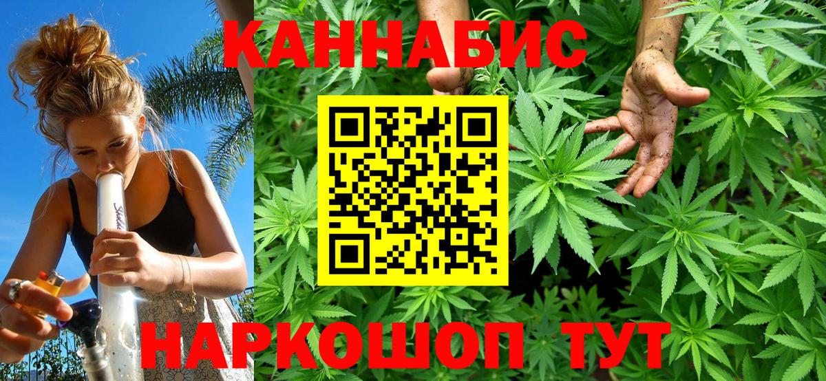 Бошки Шишки семена Кудымкар
